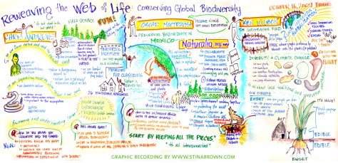 Reweaving the Web of Life: Conserving Global Diversity