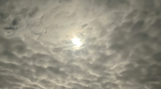 Rebuilding Trust in a World That’s Falling Apart